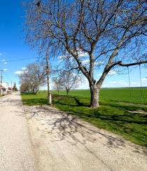 Na predaj stavebný pozemok neďaleko Šurian 